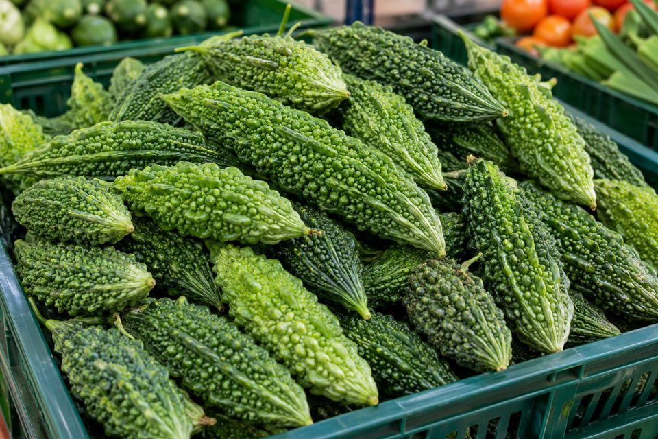 Fresh green bitter gourds in a produce crate