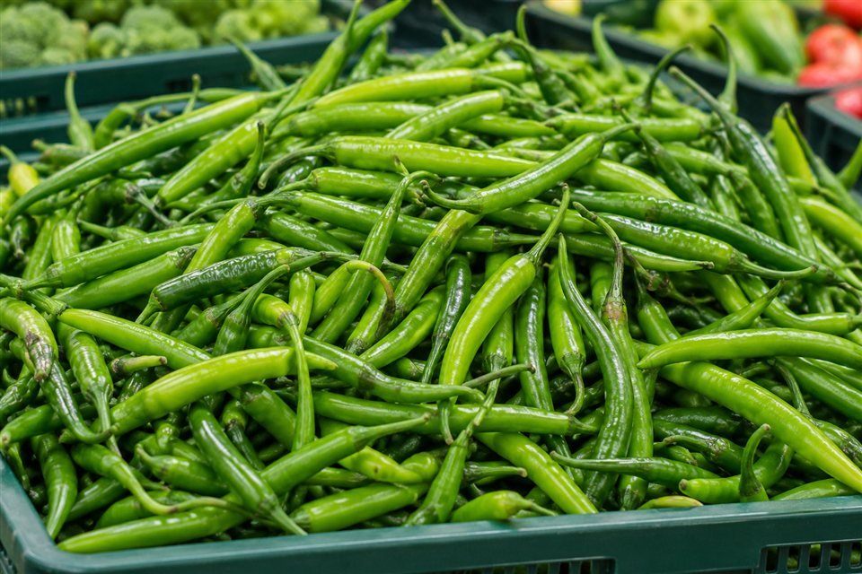 Fresh green chillies in a produce crate